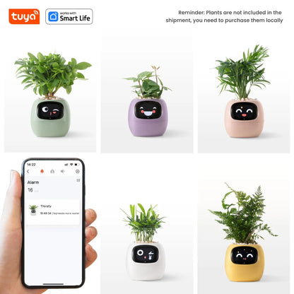 Tuya Ivy Smart Planter