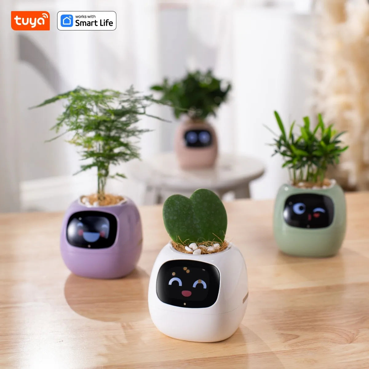 Tuya Ivy Smart Planter