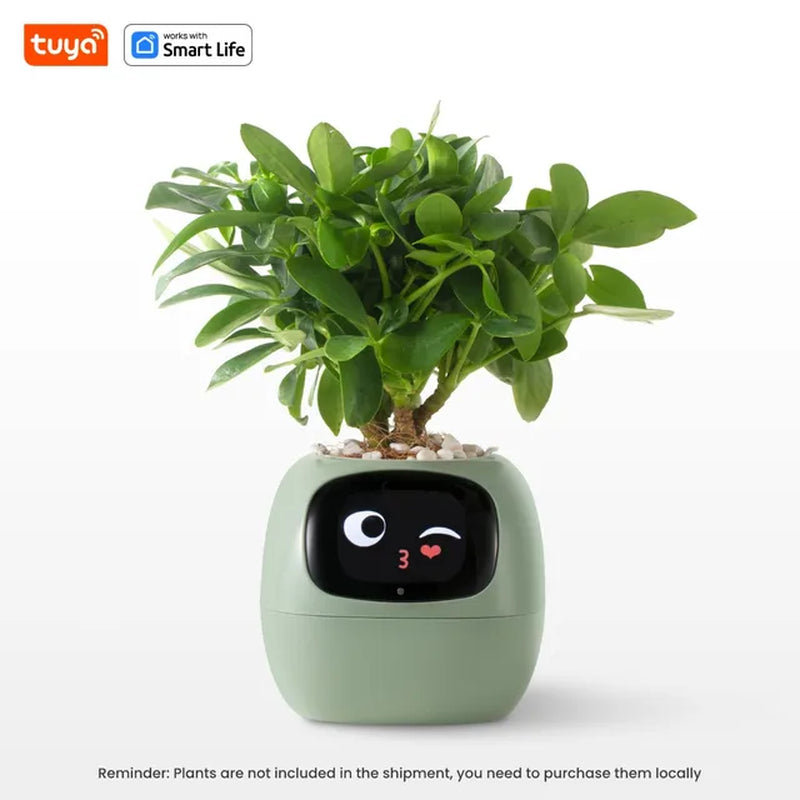 Tuya Ivy Smart Planter