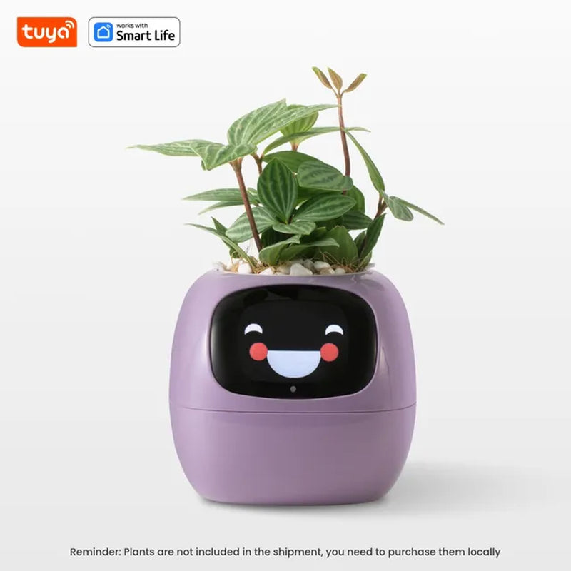 Tuya Ivy Smart Planter