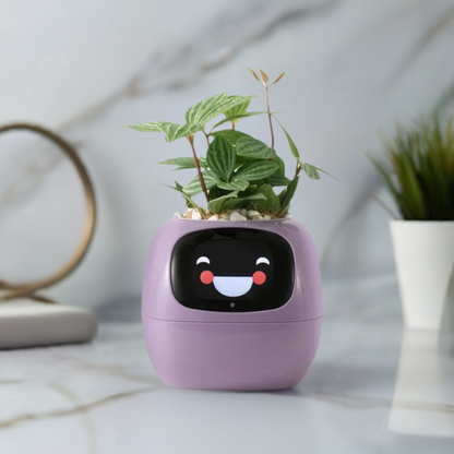 Tuya Ivy Smart Planter